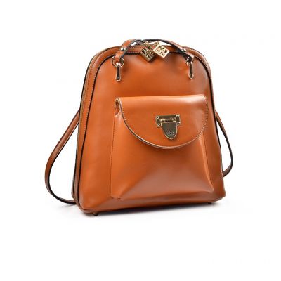 2 in 1 Backpack Handbag for Women with Gold Details