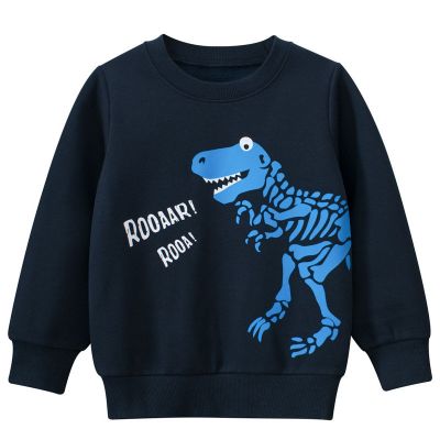 Tyrannosaurus pattern sweatshirt for boys with fleece lining
