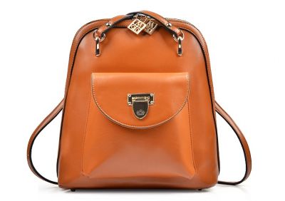2 in 1 Backpack Handbag for Women with Gold Details