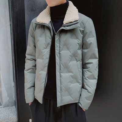 Men's thick winter jacket with fur collar