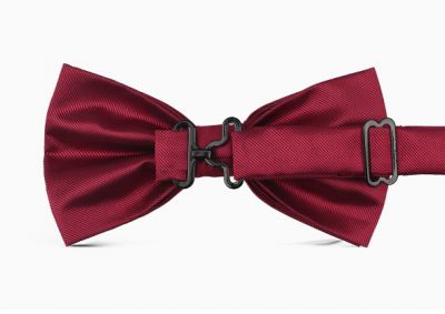 Plain Shiny Satin Bowtie in Red Blue or Black for  suit wedding