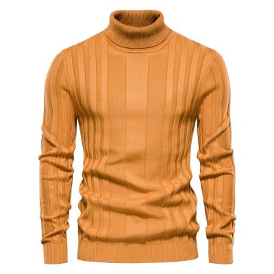 Men's slim fit roll neck sweater