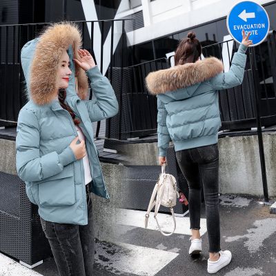 Short padded coat with fur trim hood for women