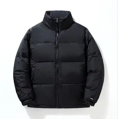 Stand collar hooded down puffer jacket for men