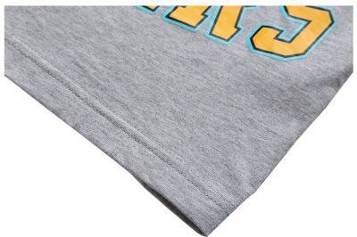 Charlotte Hornets Hustlers Basketball T shirt for Men