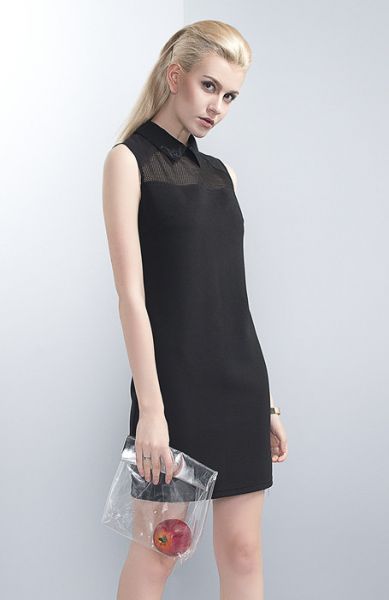 Short Dress for Women with Semi Transparent Mesh Collar 