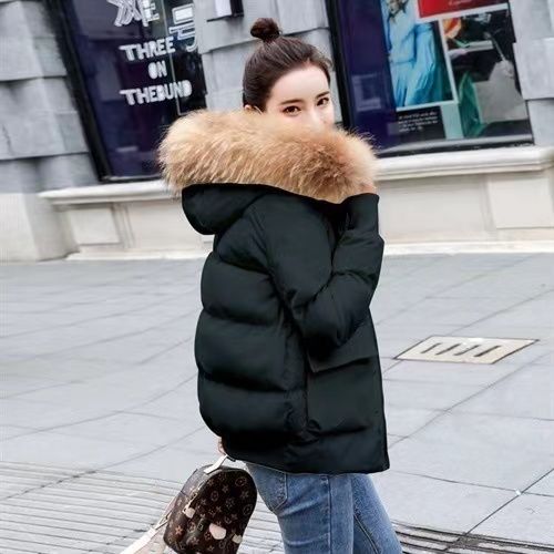 Short padded coat with fur trim hood for women